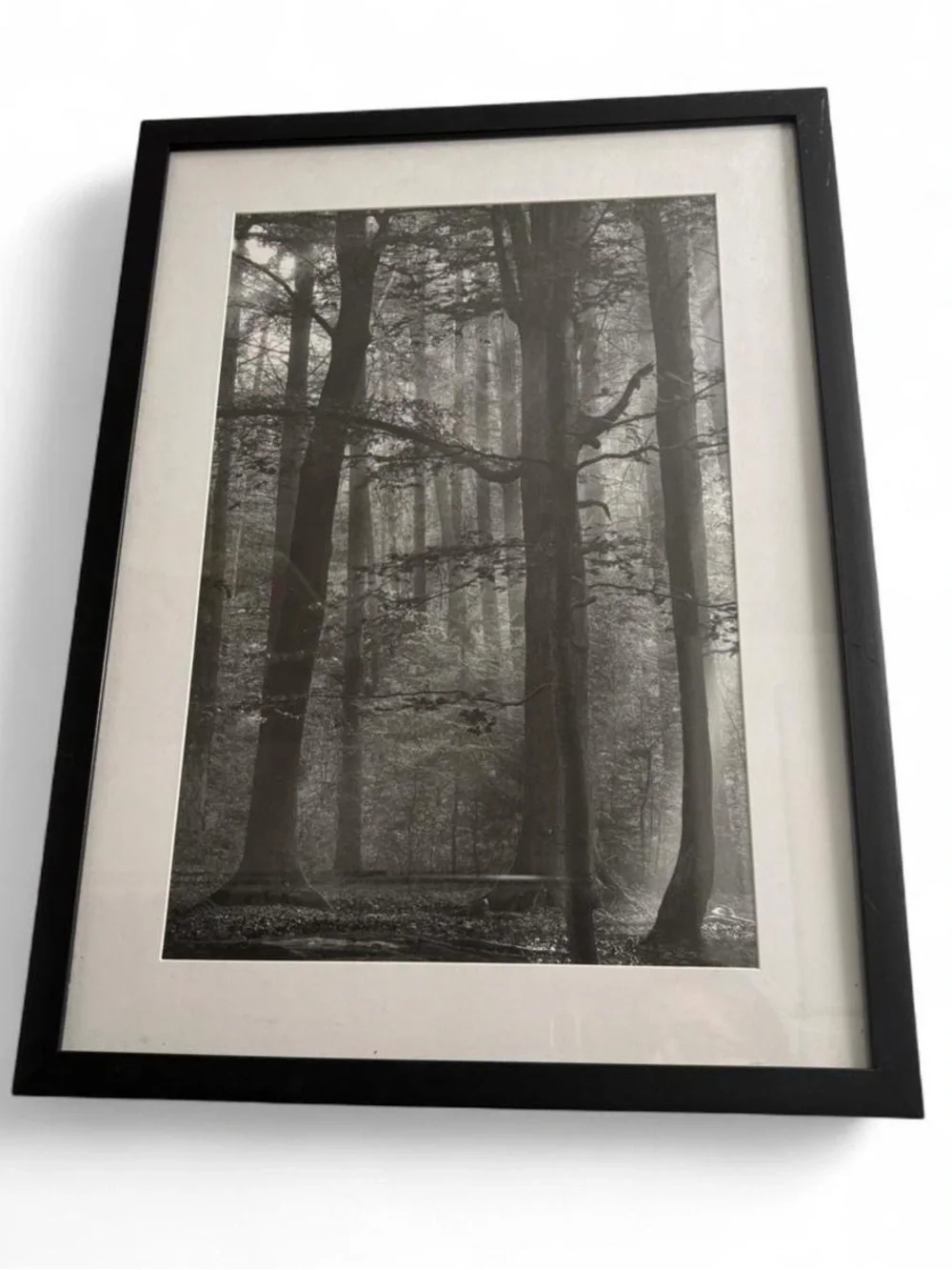 IKEA Black & White Forest Framed Wall Art Print Misty Trees Landscape 16x20
